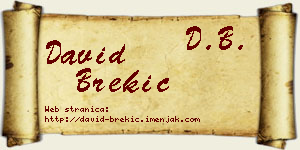 David Brekić vizit kartica